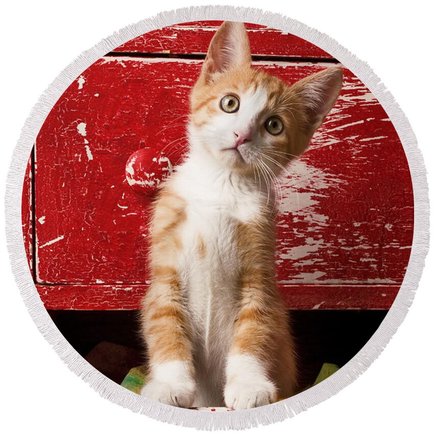 Kitten Round Beach Towel featuring the photograph Orange tabby kitten in red drawer by Garry Gay