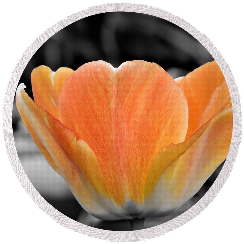 Tulip Round Beach Towel featuring the photograph Orange Tea Cup Tulip by Chad and Stacey Hall