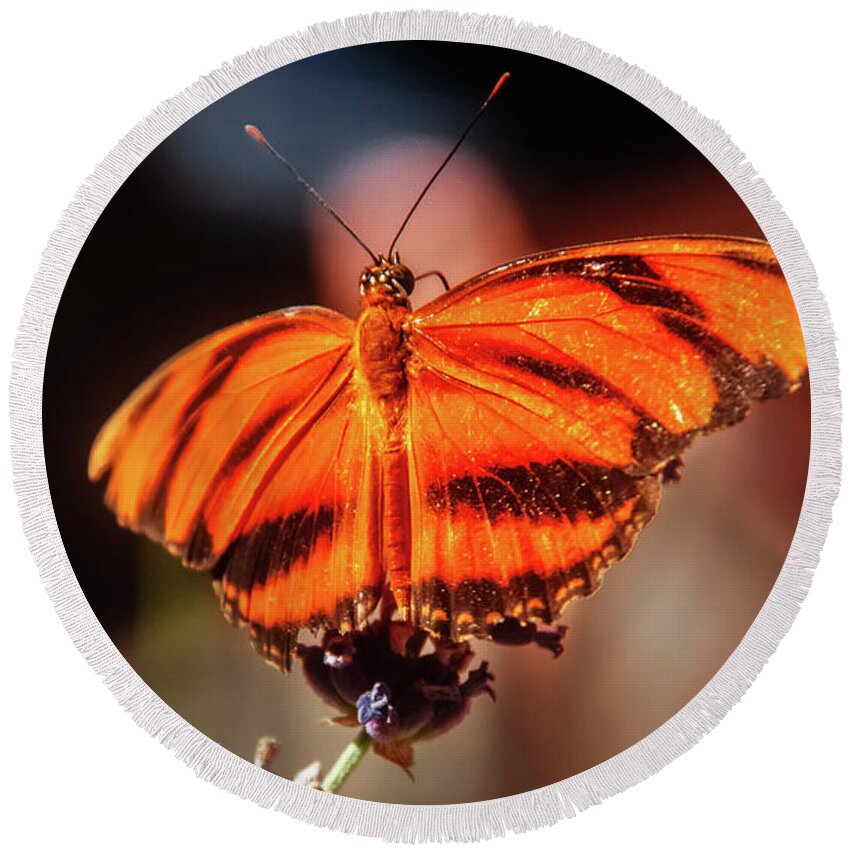 Butterfly Round Beach Towel featuring the photograph Orange Tiger Butterfly by Robert Bales