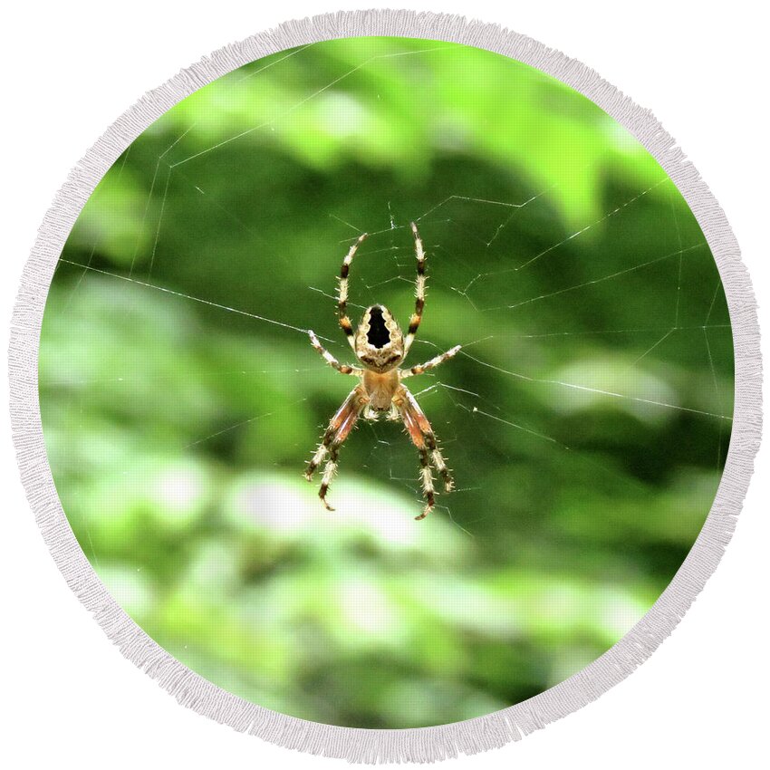 Spider Round Beach Towel featuring the photograph Orb Weaver by Azthet Photography