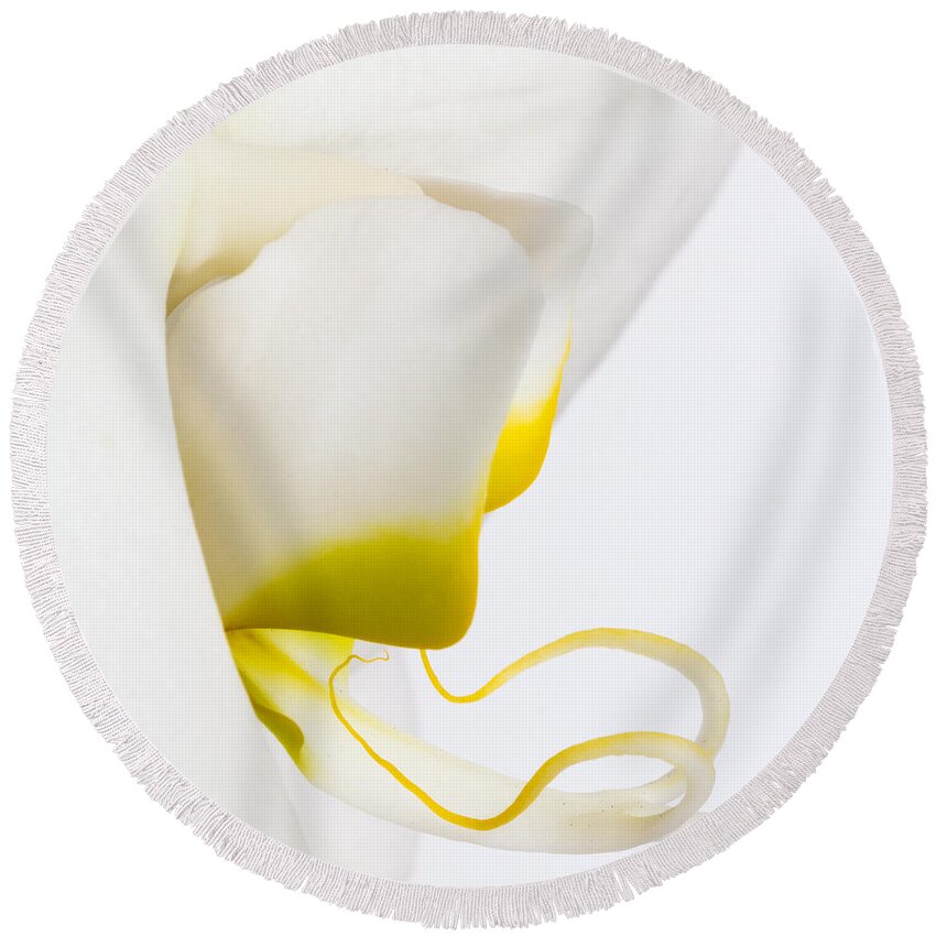 Orchid Round Beach Towel featuring the photograph Orchid 2 by Patricia Schaefer