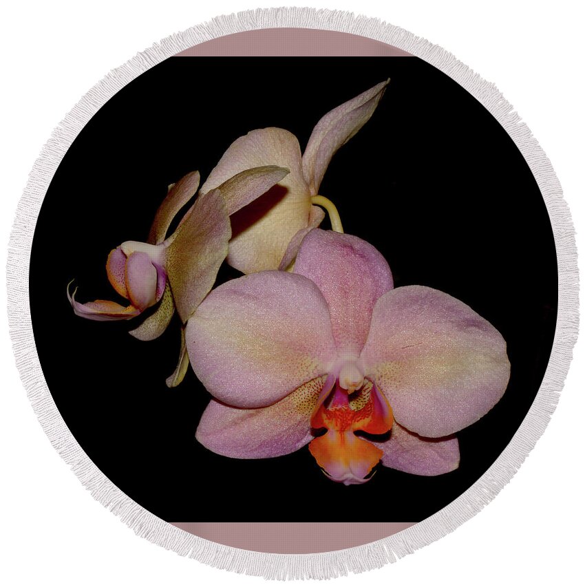 Nature Round Beach Towel featuring the photograph Orchid 2016 1 by Robert Morin
