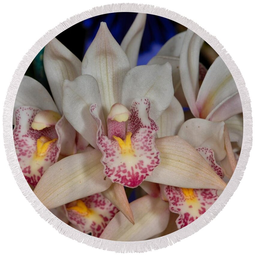 Orchid Round Beach Towel featuring the photograph Orchid 348 by Wesley Elsberry