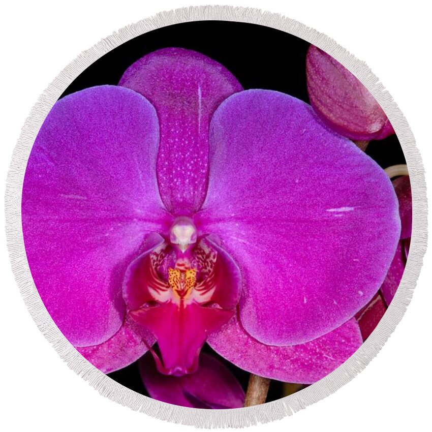 Flower Round Beach Towel featuring the photograph Orchid 424 by Wesley Elsberry