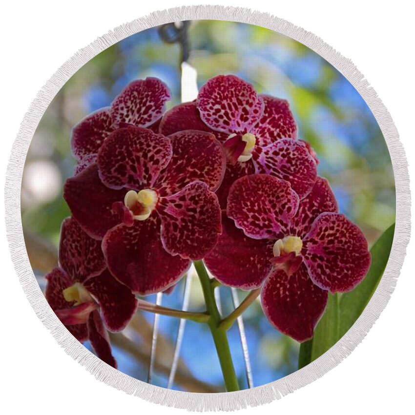 Red Round Beach Towel featuring the photograph Orchid Bouquet by Michiale Schneider