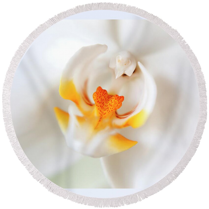 Orchid Round Beach Towel featuring the photograph Orchid Detail by Ariadna De Raadt