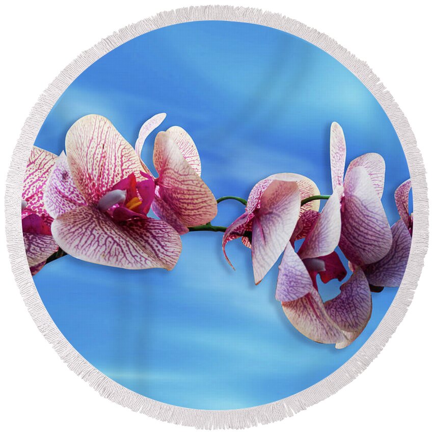 Lotus Round Beach Towel featuring the photograph Orchid Flower by Ridwan Photography
