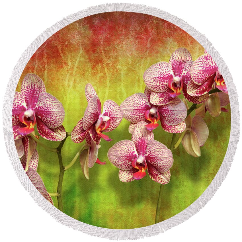 Phal Round Beach Towel featuring the photograph Orchid - Phalaenopsis - Simply a delight by Mike Savad