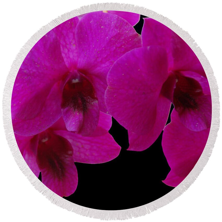 Orchid Round Beach Towel featuring the photograph Orchid Song by Aimee L Maher ALM GALLERY