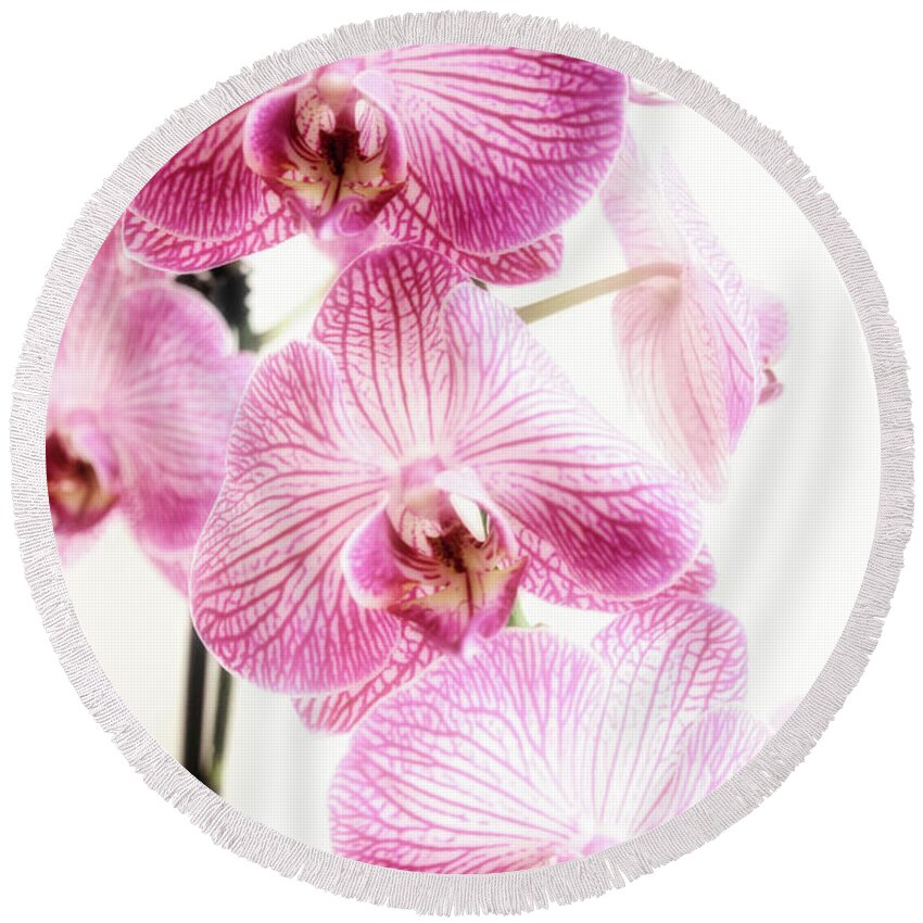 Fresh Round Beach Towel featuring the digital art Orchids by Dan Stone