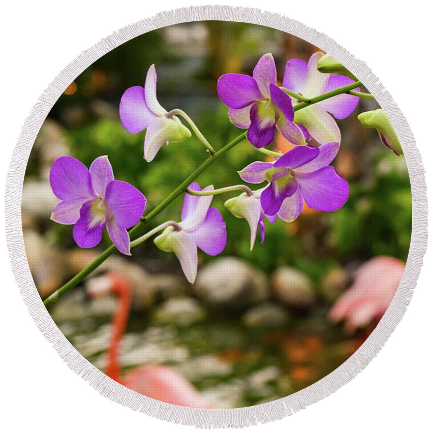 Orchid Round Beach Towel featuring the photograph Orchids in Paradise by Nicole Lloyd