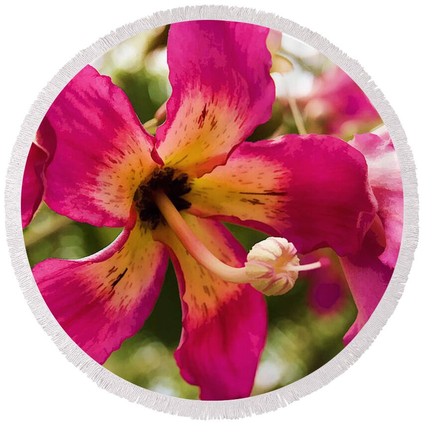 Orchid Round Beach Towel featuring the photograph Orchids by Ricky Barnard