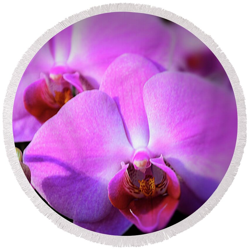 Cleveland Botanical Gardens Round Beach Towel featuring the photograph Orchids by Stewart Helberg