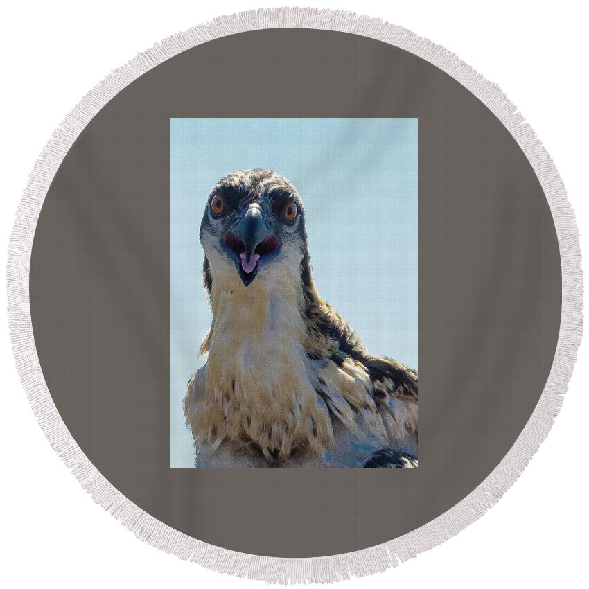 20160625 Round Beach Towel featuring the photograph Osprey Chick Smiles for the Camera Ultra Macro by Jeff at JSJ Photography