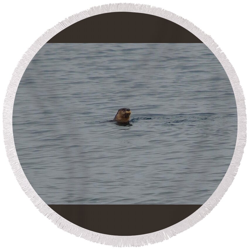 Designs Similar to Otter in Lake Superior