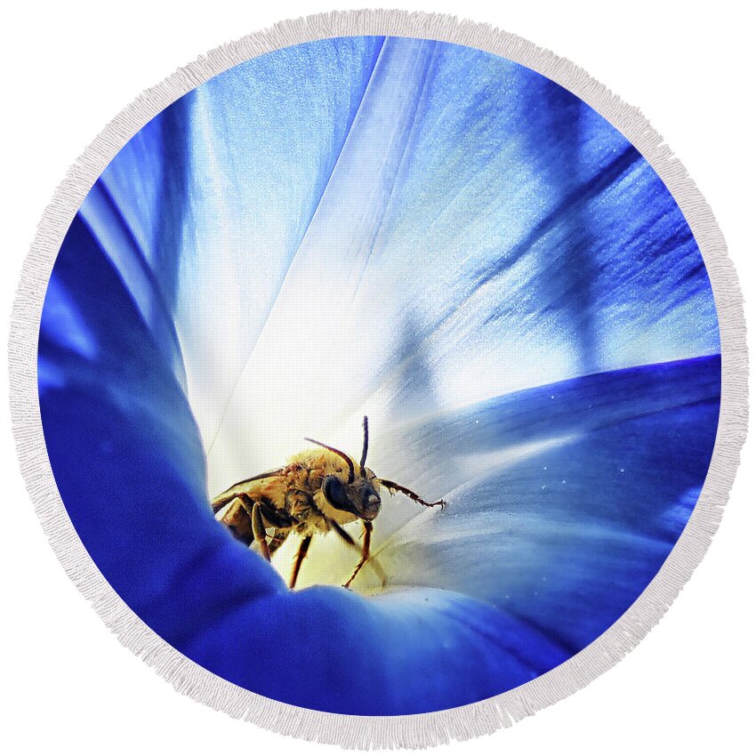 Flowering Round Beach Towel featuring the photograph Out of the blue by Camille Lopez