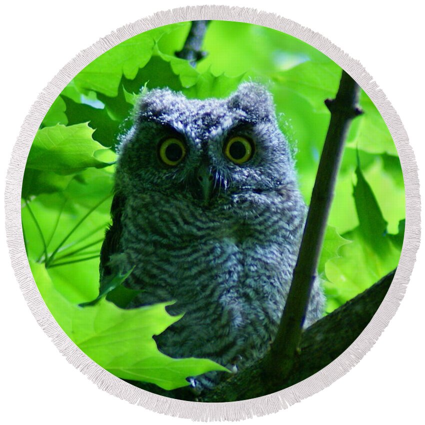 Owl Round Beach Towel featuring the photograph Owl in the Woods by Ben Upham III