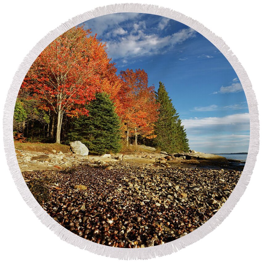 Autumn Round Beach Towel featuring the photograph Birch Point Beach shells by Kevin Shields