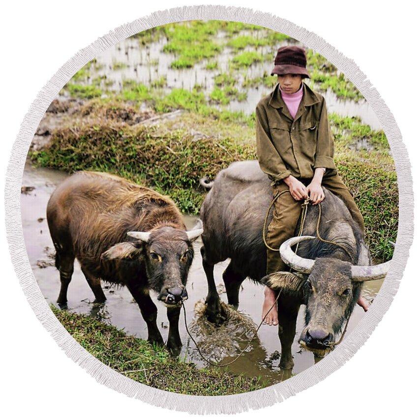 Ox Round Beach Towel featuring the photograph Oxen Day Off.Cambodia by Jennie Breeze