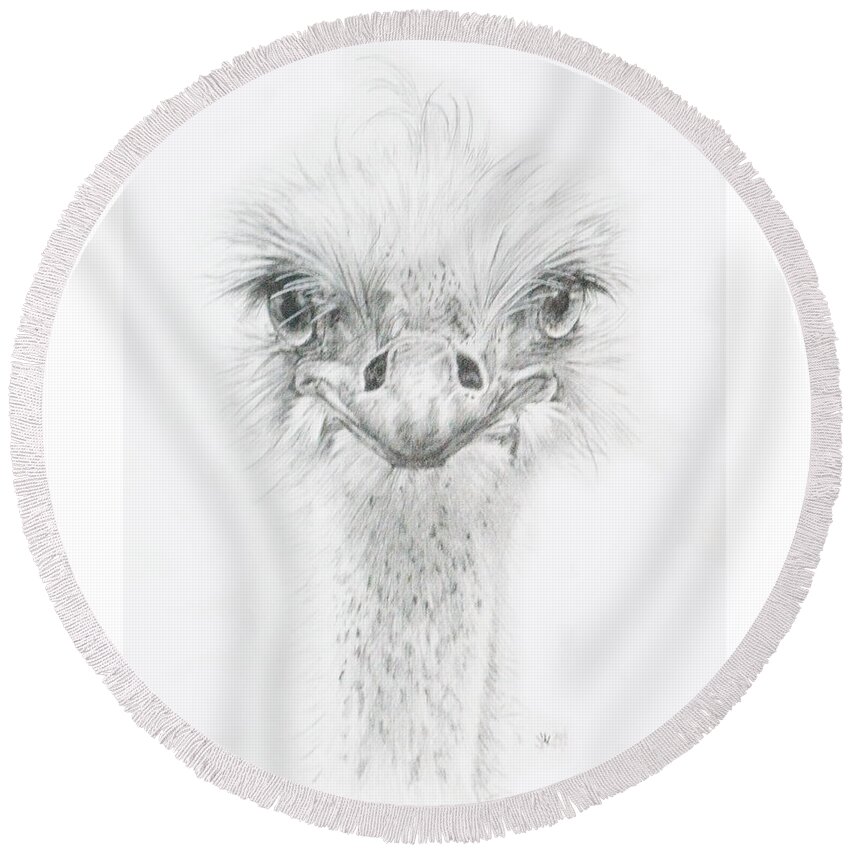 Ostrich Round Beach Towel featuring the drawing Ozzy by Barbara Keith
