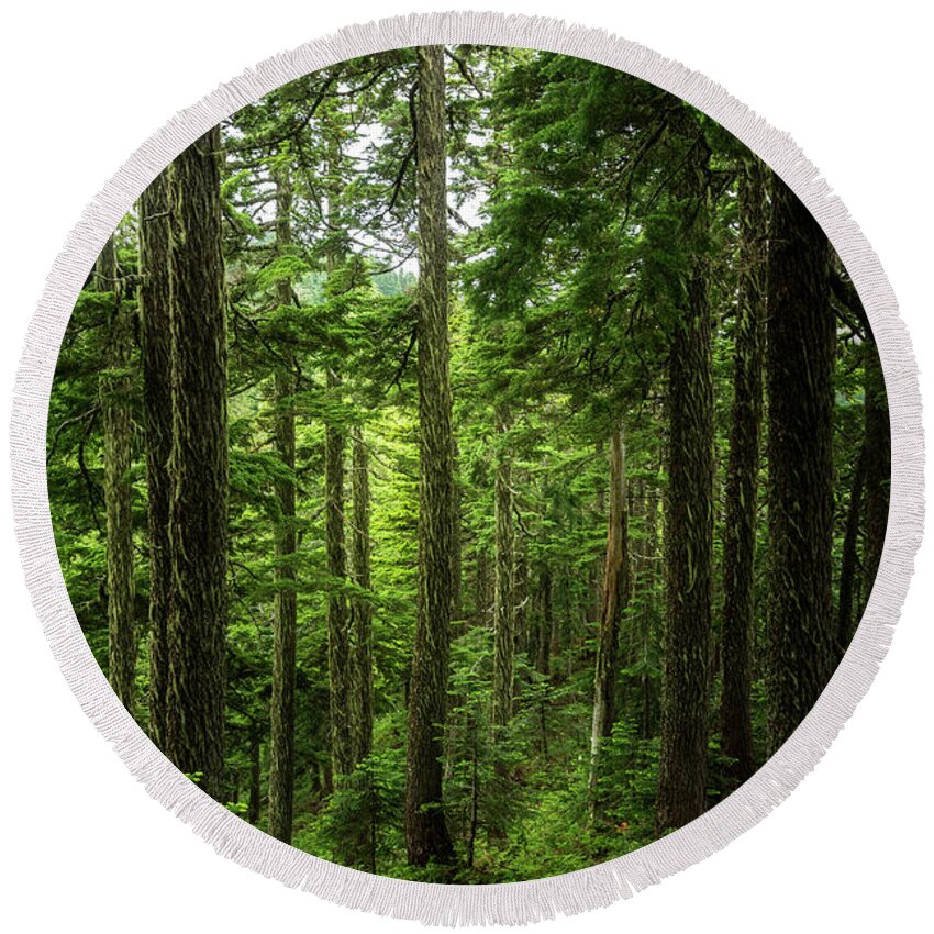 Scenic Round Beach Towel featuring the photograph Pacific Northwest Forest by Pelo Blanco Photo