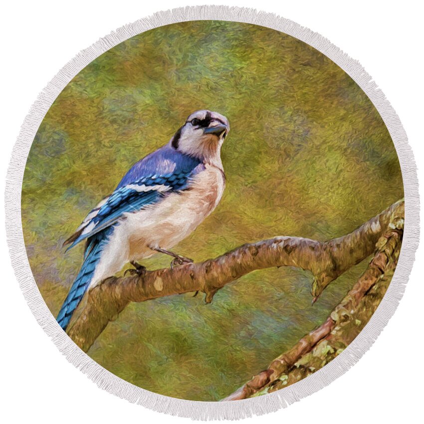 Songbird Round Beach Towel featuring the photograph Painted Jay by Cathy Kovarik