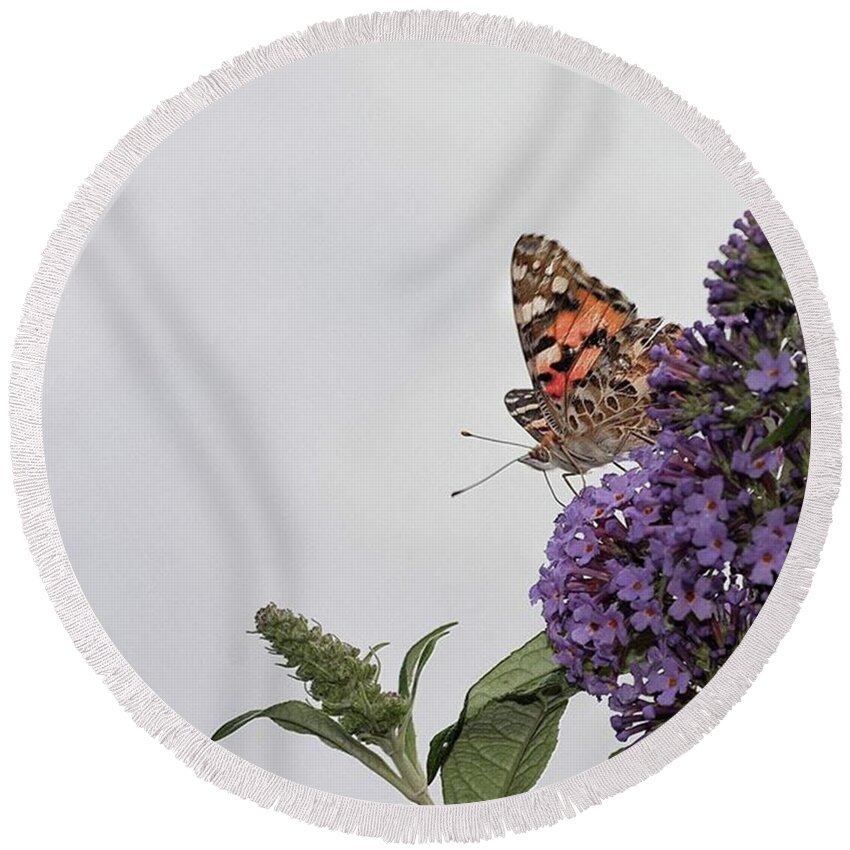 Insectsofinstagram Round Beach Towel featuring the photograph Painted Lady (vanessa Cardui) by John Edwards