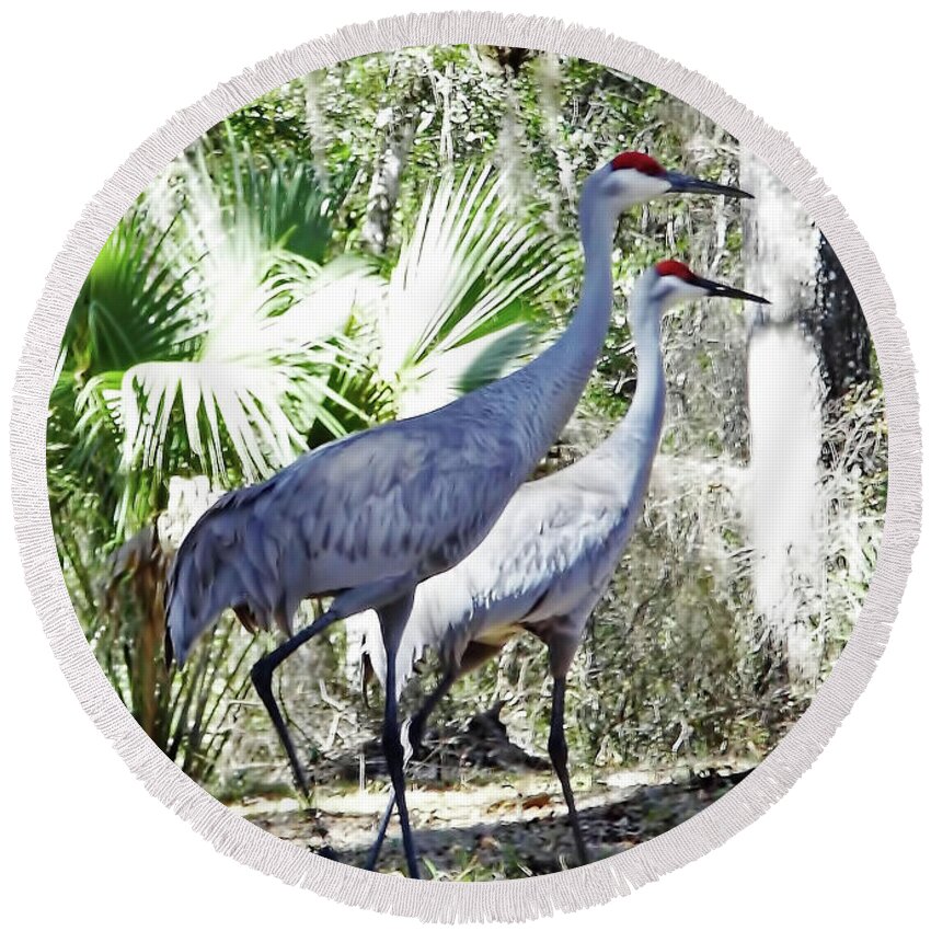 Crane Round Beach Towel featuring the photograph Pair Of Sandhill Cranes by D Hackett