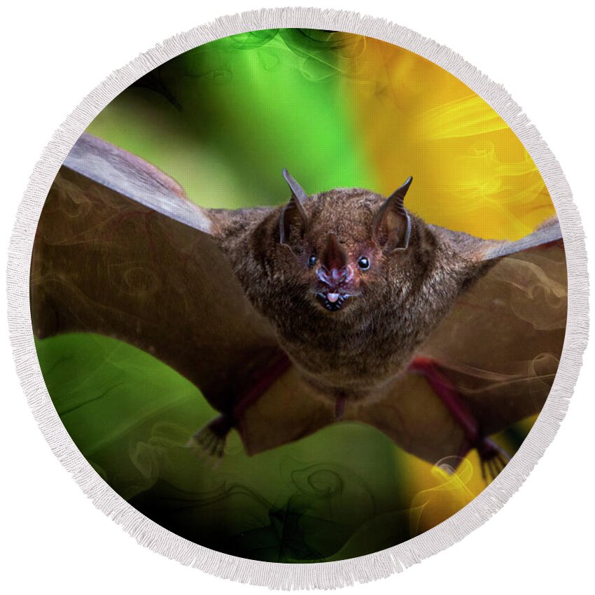Pale Round Beach Towel featuring the photograph Pale Spear-Nosed Bat In The Amazon Jungle by Al Bourassa