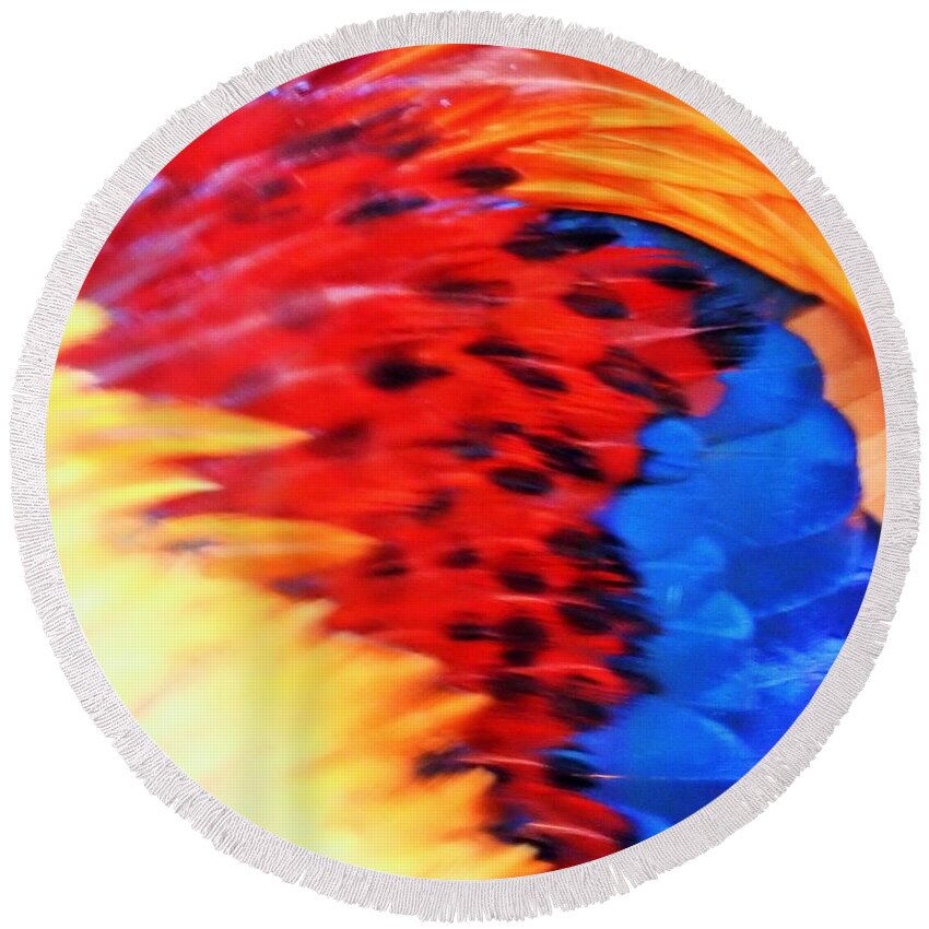 Feathers Round Beach Towel featuring the photograph Palette Of Wild Feathers by Jan Gelders