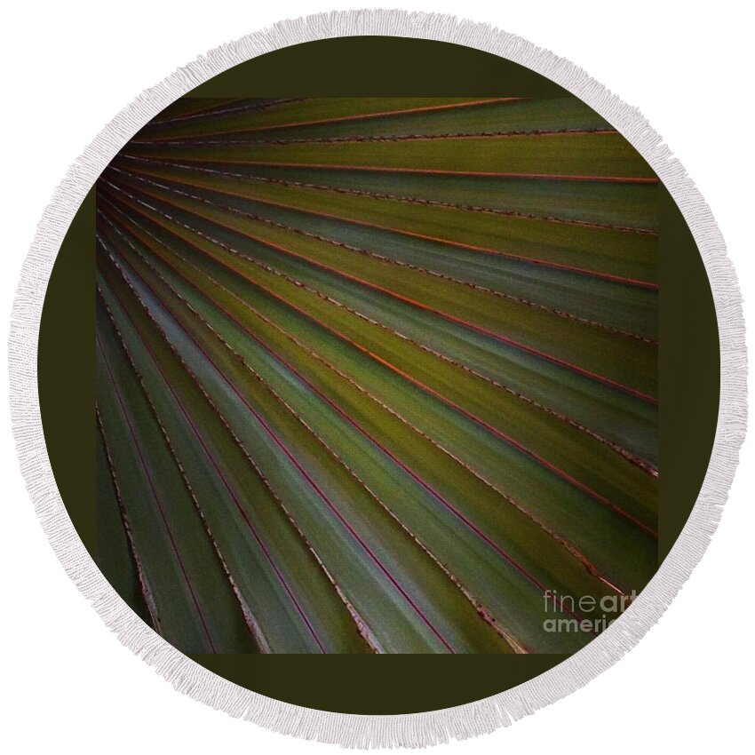 Palm Round Beach Towel featuring the photograph Palm by Denise Railey