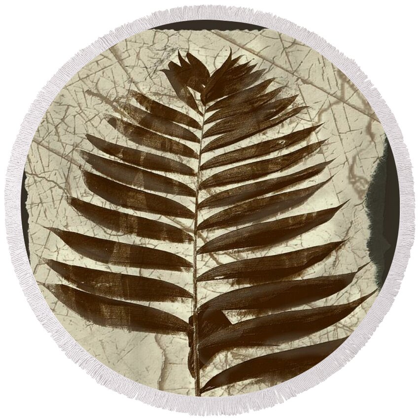Photograph Round Beach Towel featuring the digital art Palm Fossil Sandstone by Delynn Addams