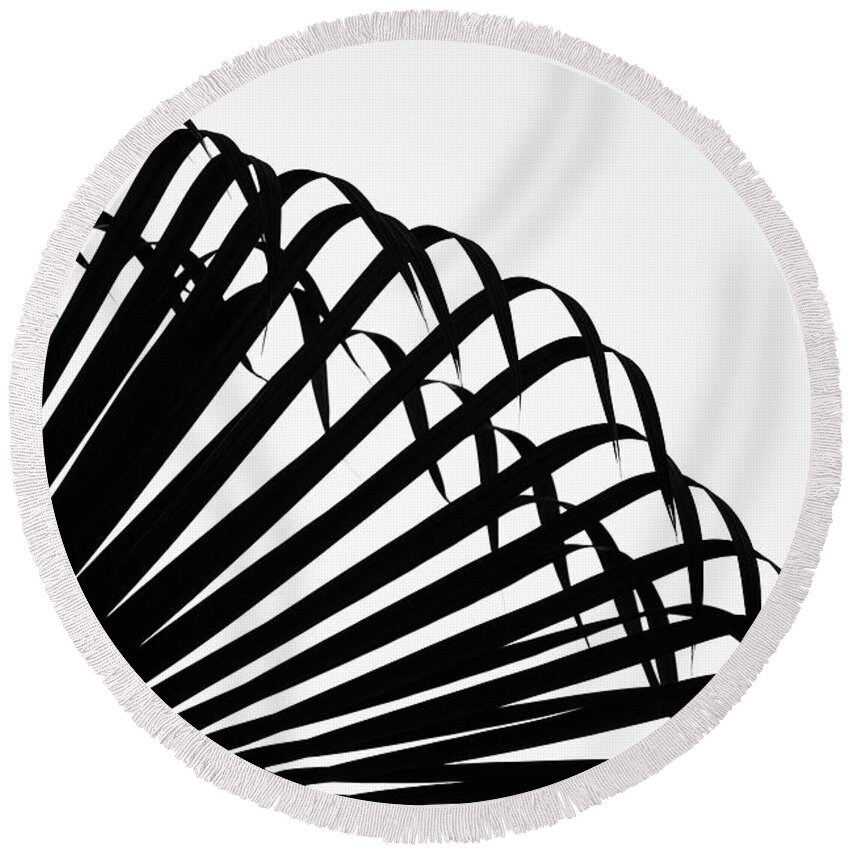 Black And White Round Beach Towel featuring the photograph Palm Frond Black and White by Christopher Johnson