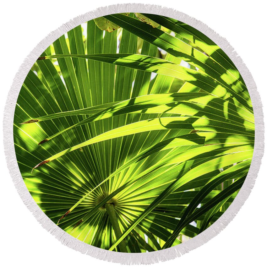 Leaves Round Beach Towel featuring the photograph Palm Rythmn by Kathy Strauss