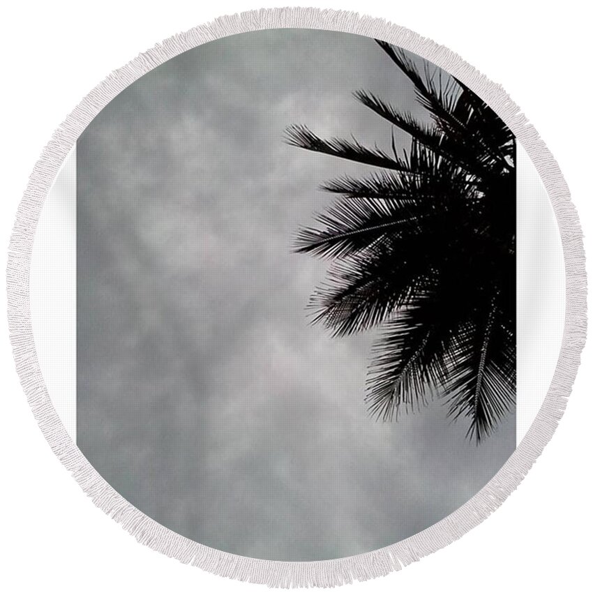 Mountains Round Beach Towel featuring the photograph Palm Tree by David Cardona