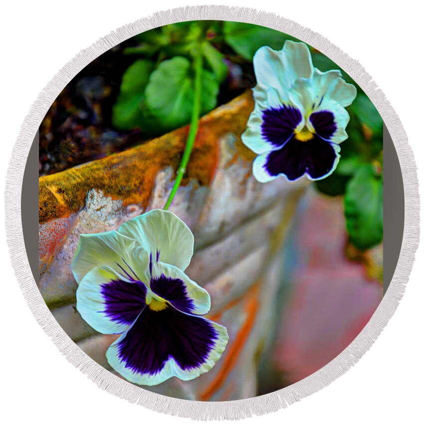 Pansies Round Beach Towel featuring the photograph Pansies by Savannah Gibbs