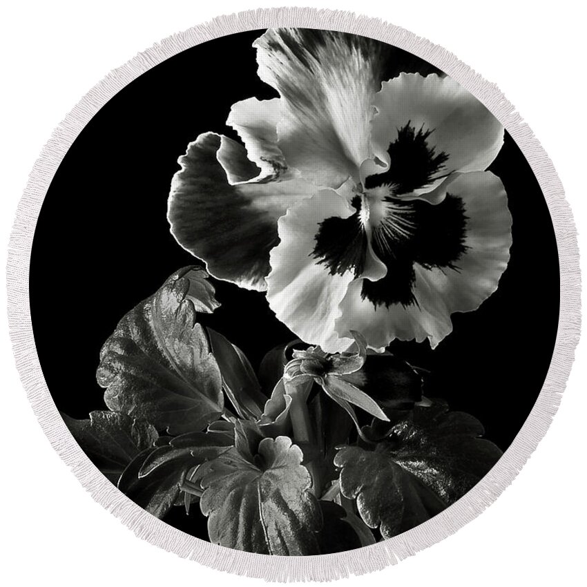 Flower Round Beach Towel featuring the photograph Pansy in Black and White by Endre Balogh