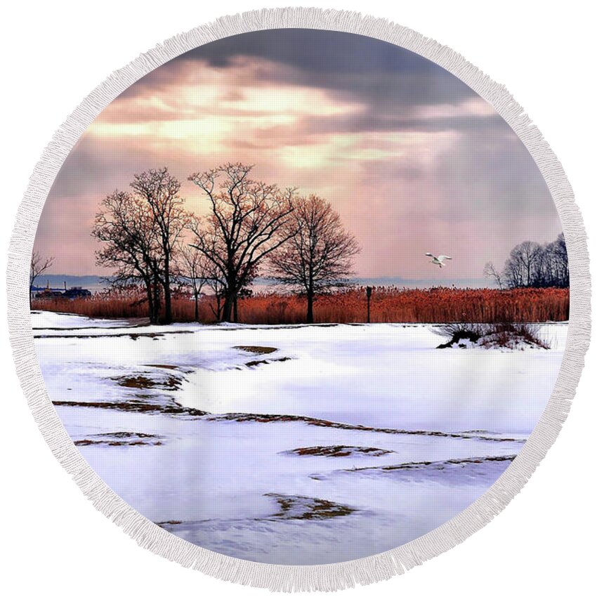 Nature Round Beach Towel featuring the photograph Par for Winter's Course by Diana Angstadt