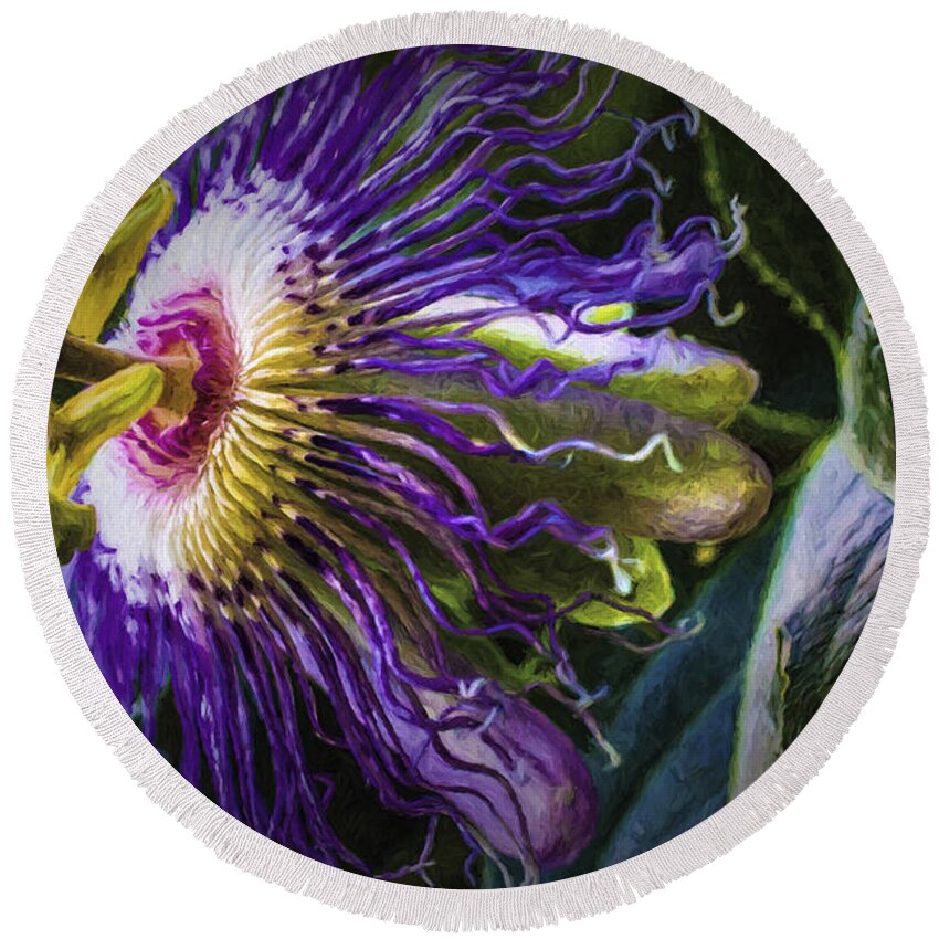 Passion Flower Round Beach Towel featuring the painting Passion Flower Profile by Barry Jones