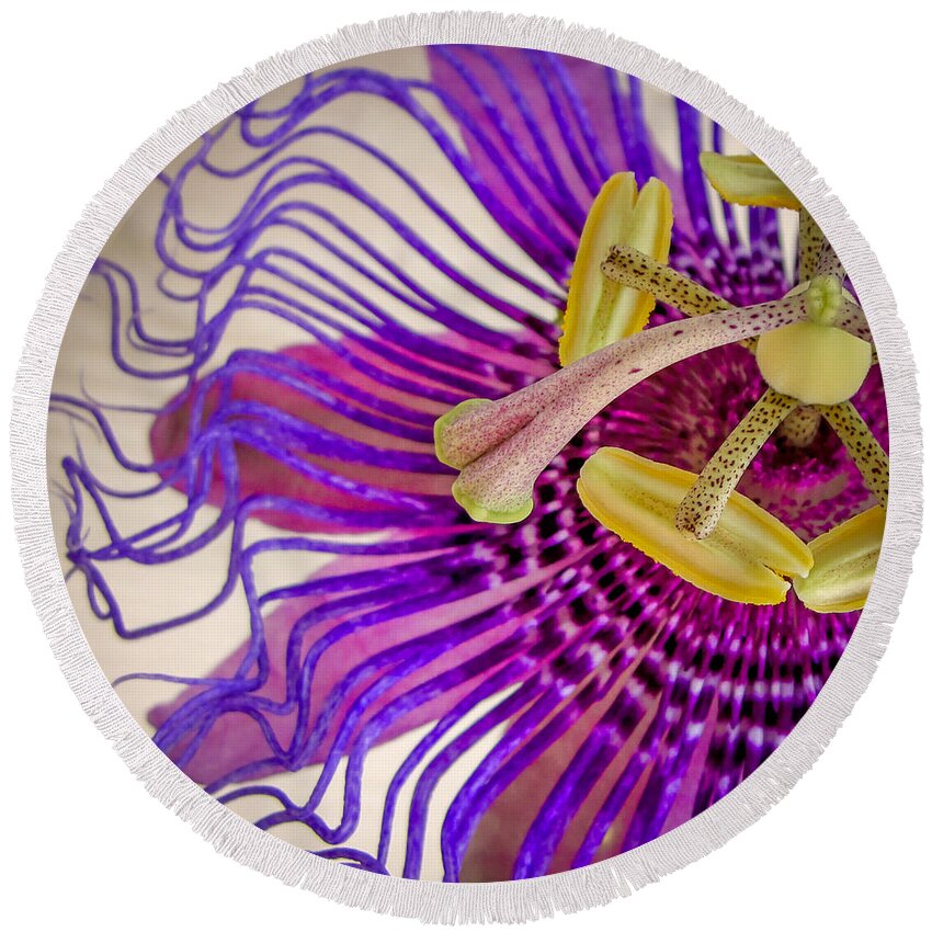 Passion Flower Round Beach Towel featuring the photograph Passion Flower Squared by TK Goforth