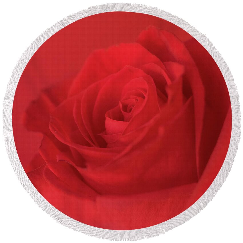 Red Rose Round Beach Towel featuring the photograph Passion by Holly Ross