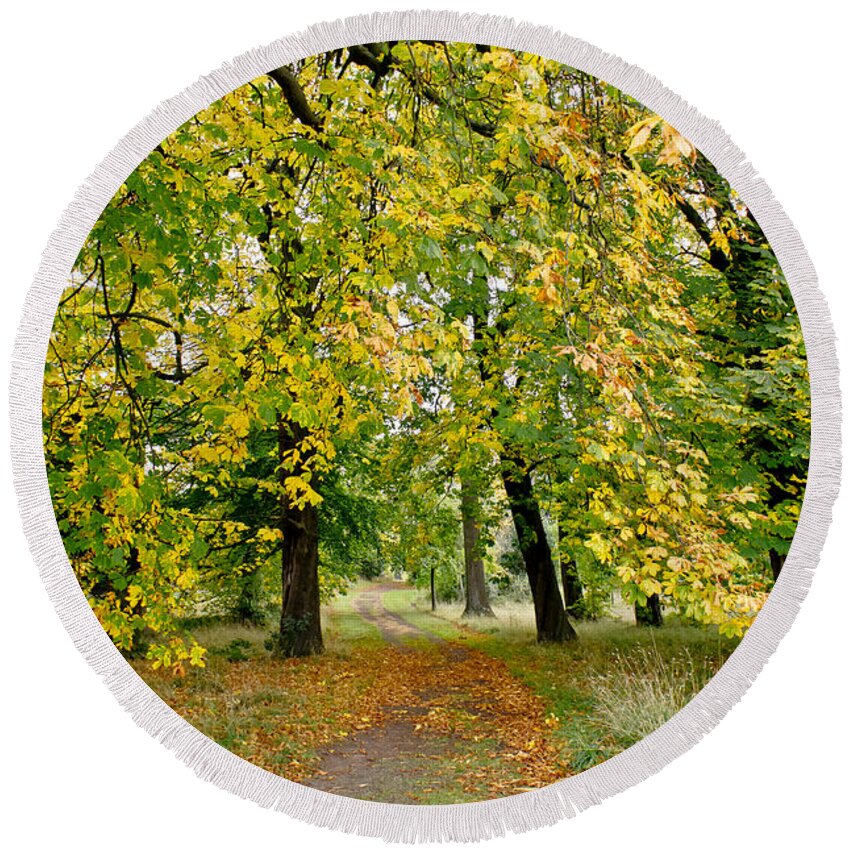 Canopy Round Beach Towel featuring the photograph Path under the fall canopy by Elena Perelman