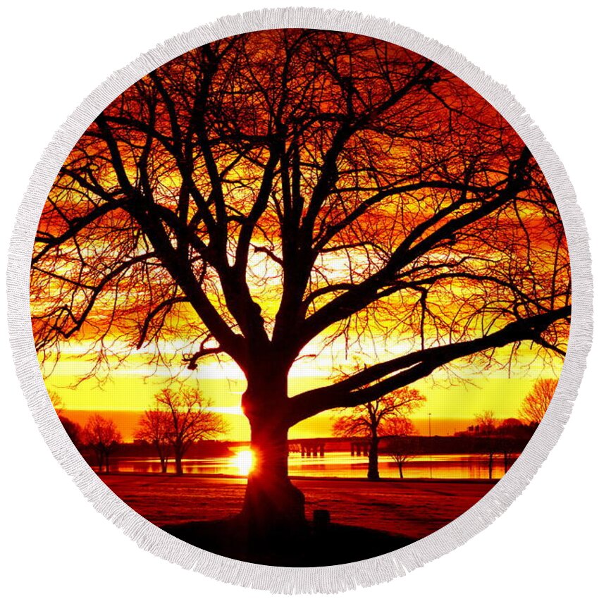 Tree Round Beach Towel featuring the photograph Good Rising by Colleen Phaedra