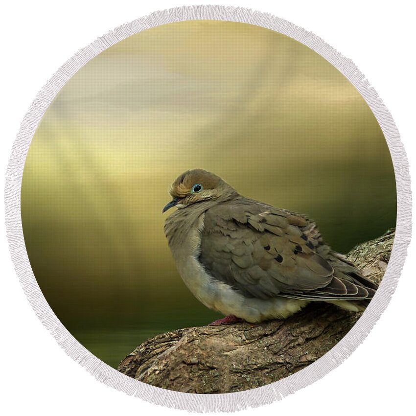 Dove Round Beach Towel featuring the photograph Peaceful Dove by Cathy Kovarik