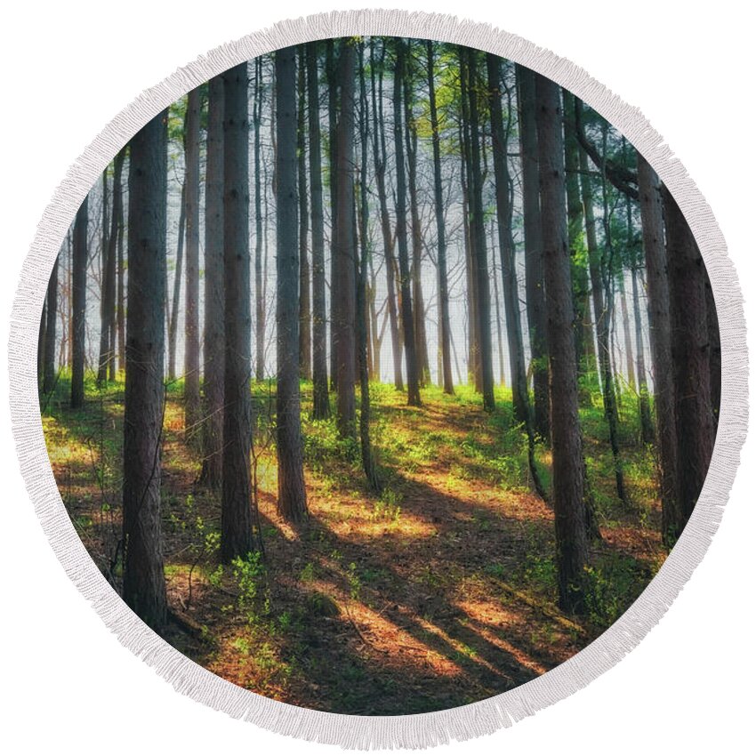 Wisconsin Landscape Round Beach Towel featuring the photograph Peaceful Forest - Spring at Retzer Nature Center by Jennifer Rondinelli Reilly - Fine Art Photography