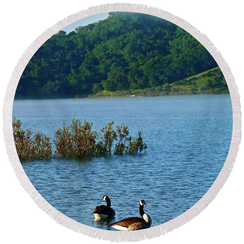 Landscape Round Beach Towel featuring the photograph Peaceful Morning by Diana Hatcher