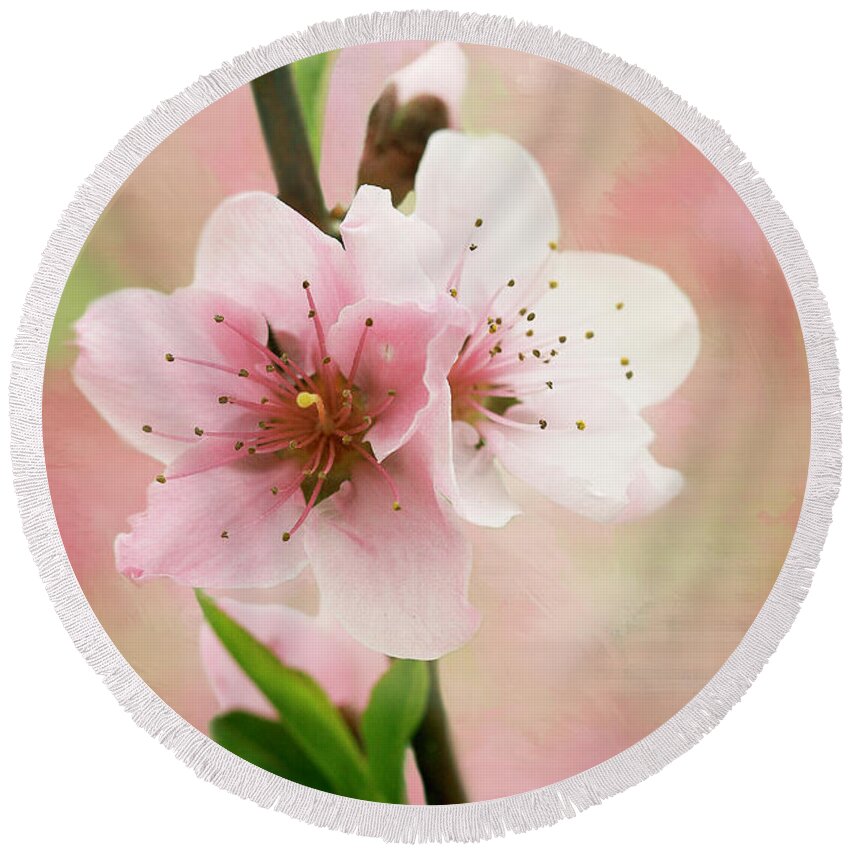 Peach Blossoms Round Beach Towel featuring the photograph Peach Blossom 3 by Cindi Ressler