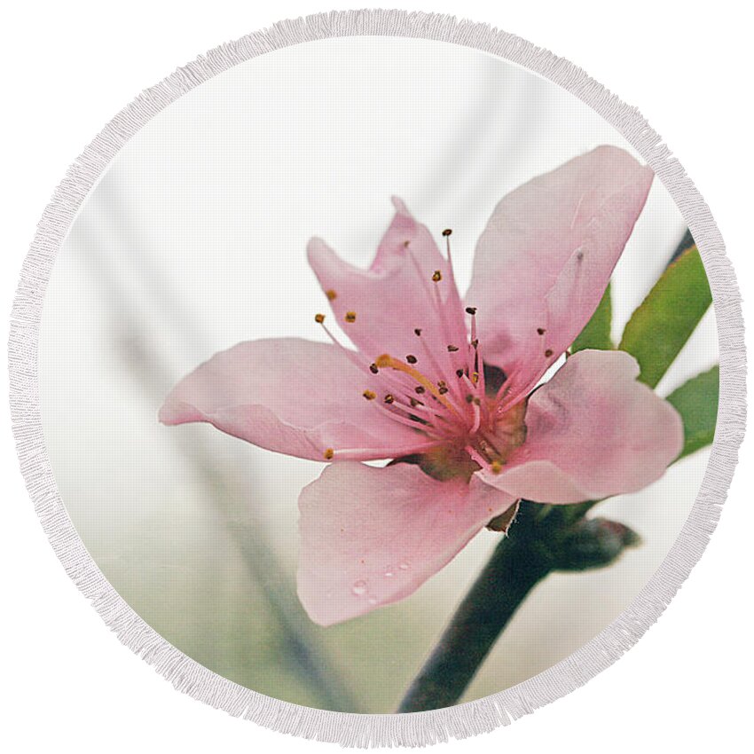 Cindi Ressler Round Beach Towel featuring the photograph Peach Blossom by Cindi Ressler