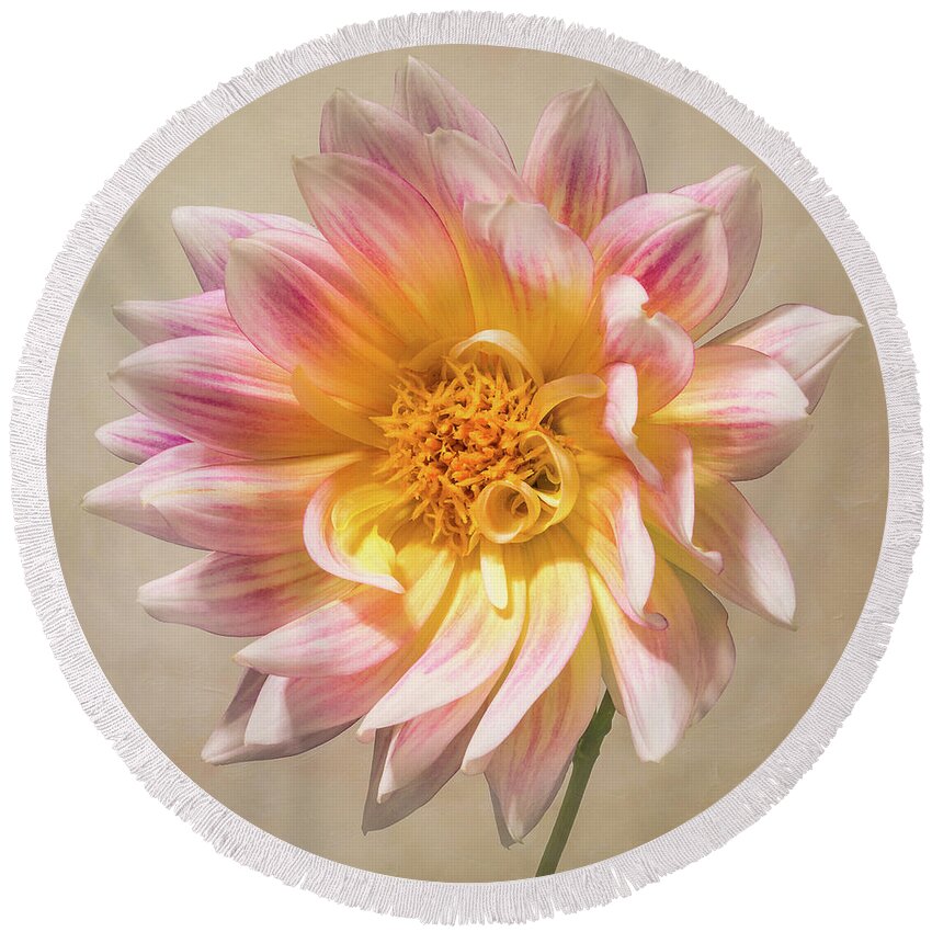 Flower Round Beach Towel featuring the photograph Peachy Pink Dahlia Close-up by Patti Deters