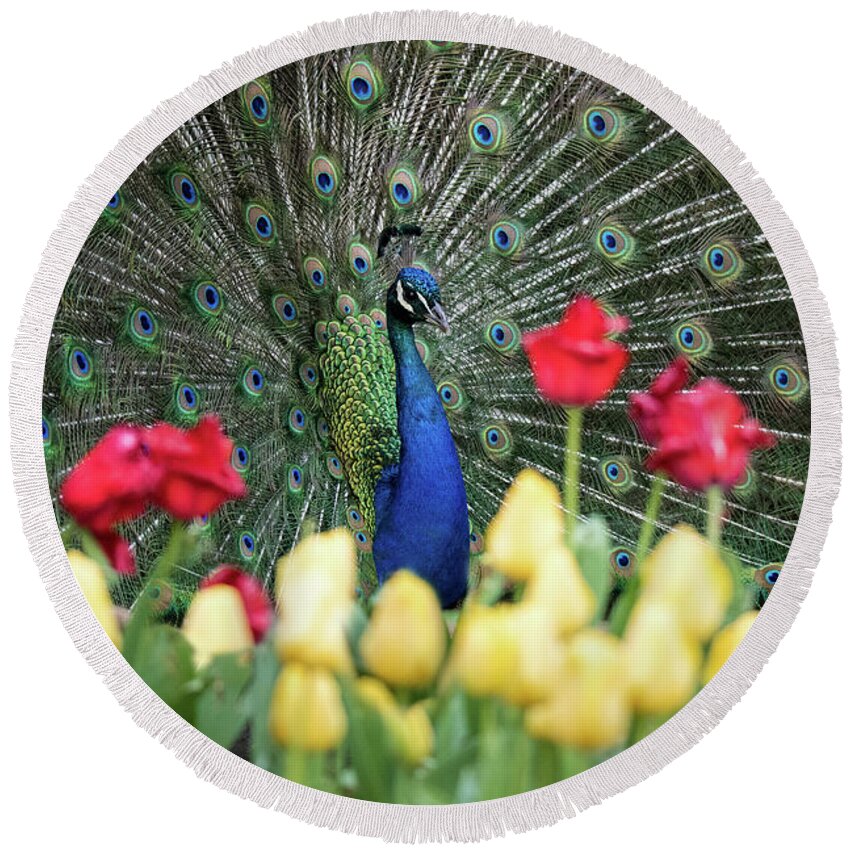 Ed Taylor Round Beach Towel featuring the photograph Peacock by Ed Taylor
